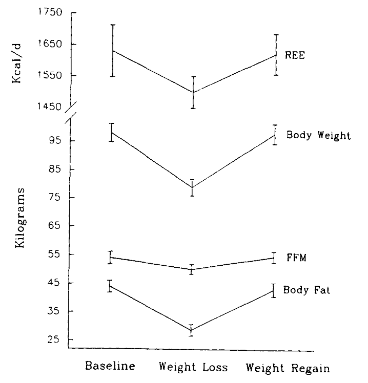 ダイエット開始時、ダイエット終了時、リバウンド時の基礎代謝・体重・筋肉量・脂肪量の変化