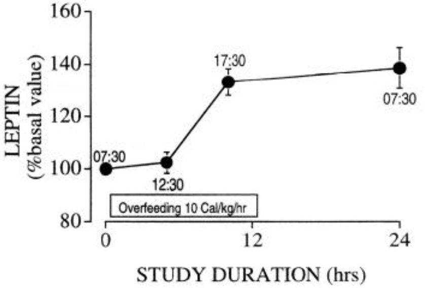 8400kcalの爆食い後のレプチン変化
