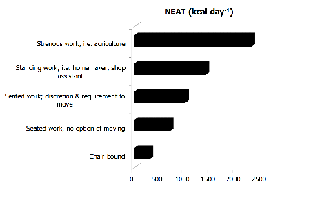 仕事別の1日あたりのNEAT