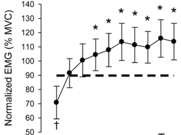 レップ数の増加と筋活動量