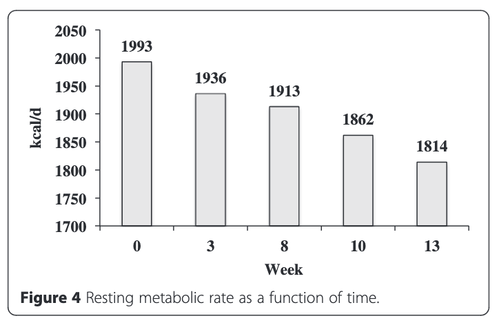 被験者の基礎代謝量
