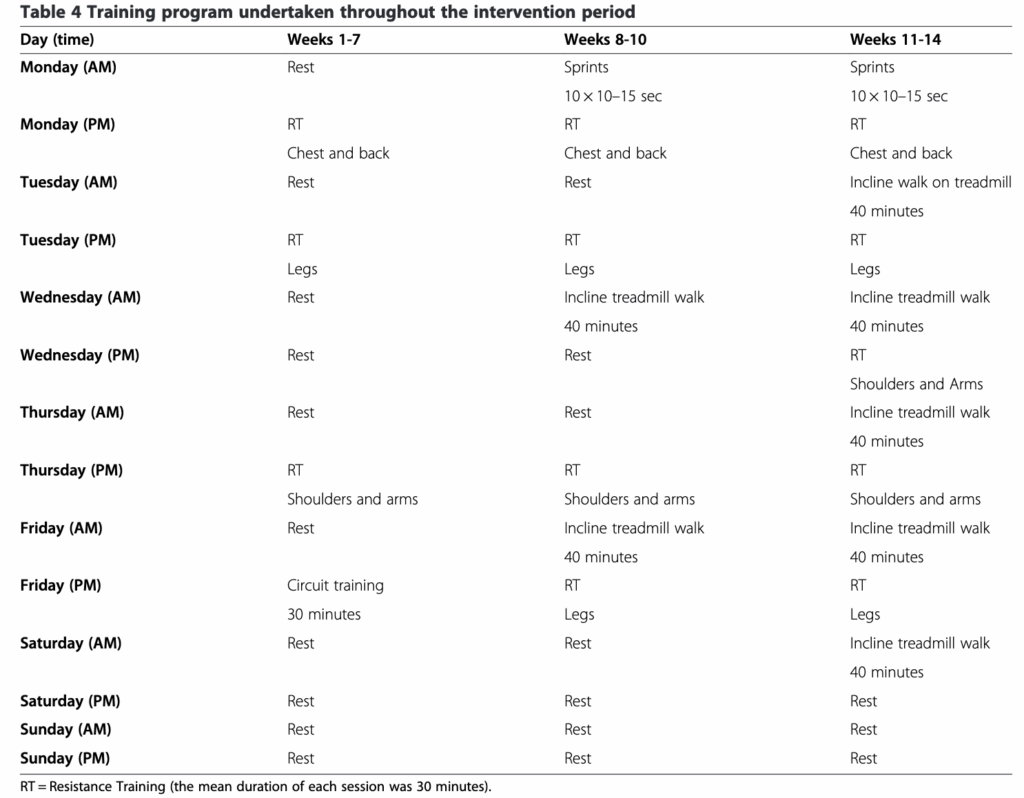 実験中のトレーニング内容