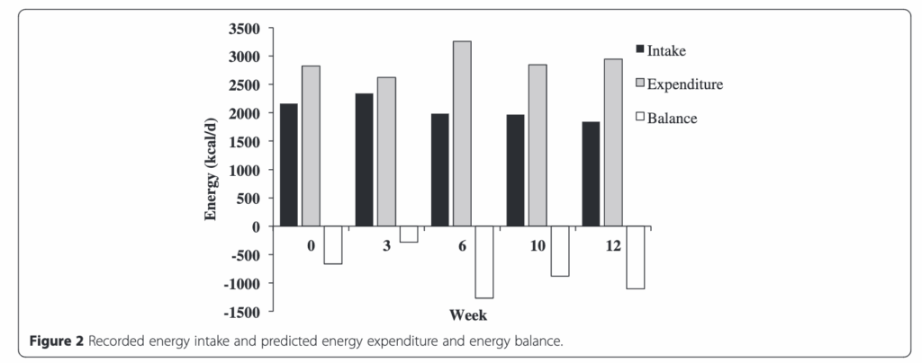 黒:摂取カロリー 灰色:消費カロリー 白:カロリー収支