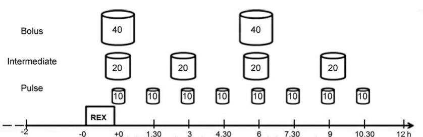 タンパク質摂取の概念図