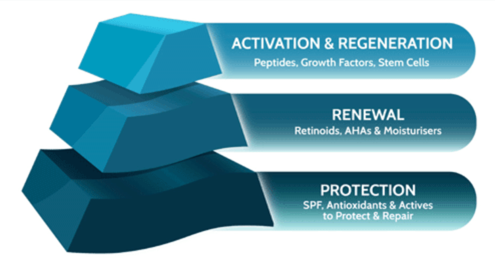 スキンヘルス＆ビューティーピラミッド