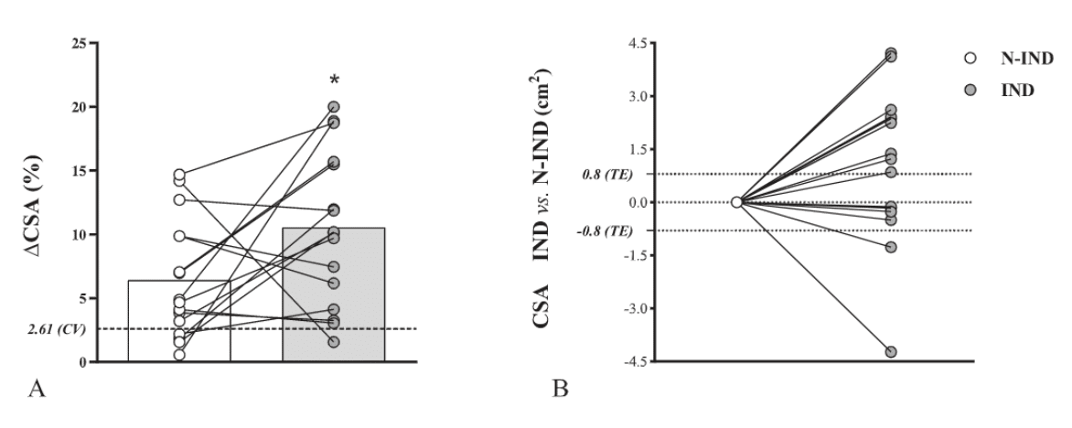 A;各足の筋肥大率 B:20%増加 vs 22セットの比較